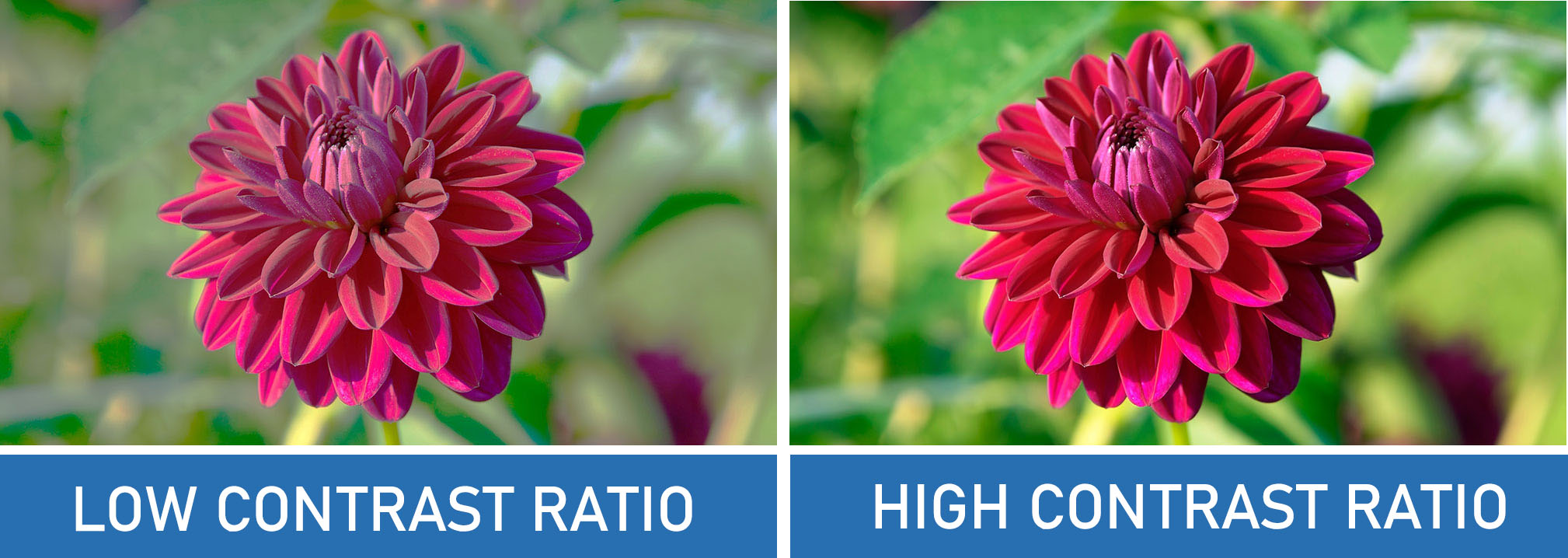 aspect ratio